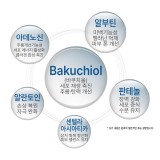 추가 상품 이미지